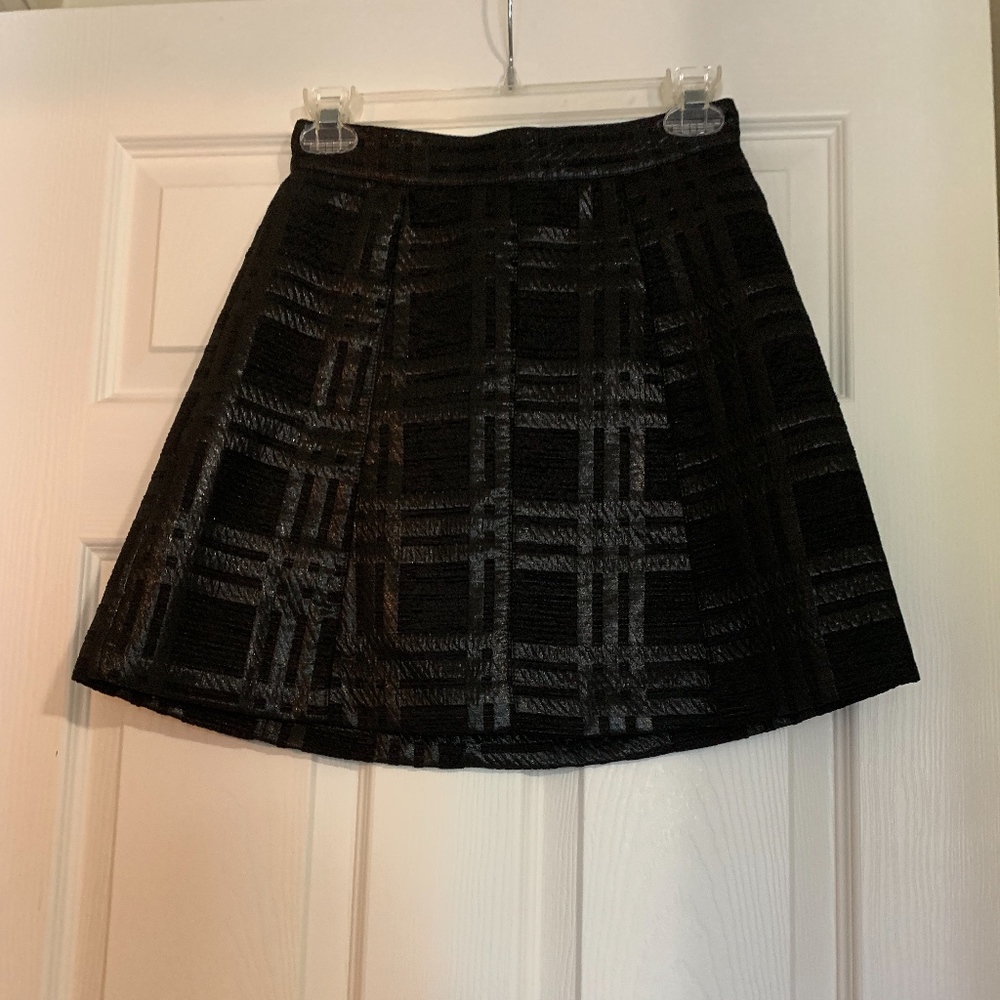 Zara Skirt